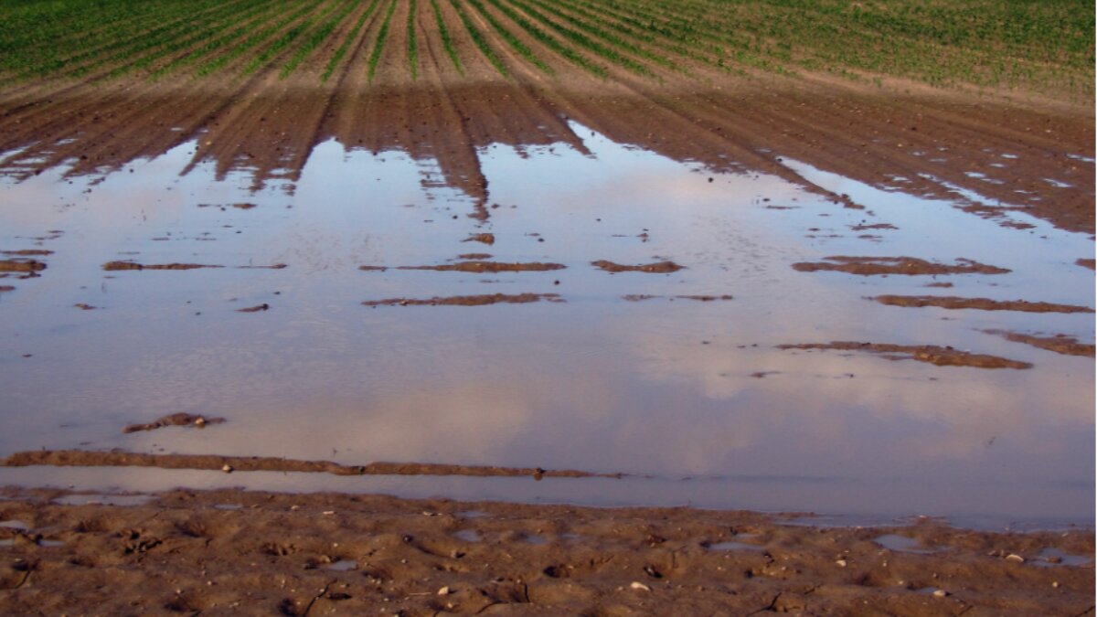 Alluvione centro Italia: più tempo per versare i contributi agricoli