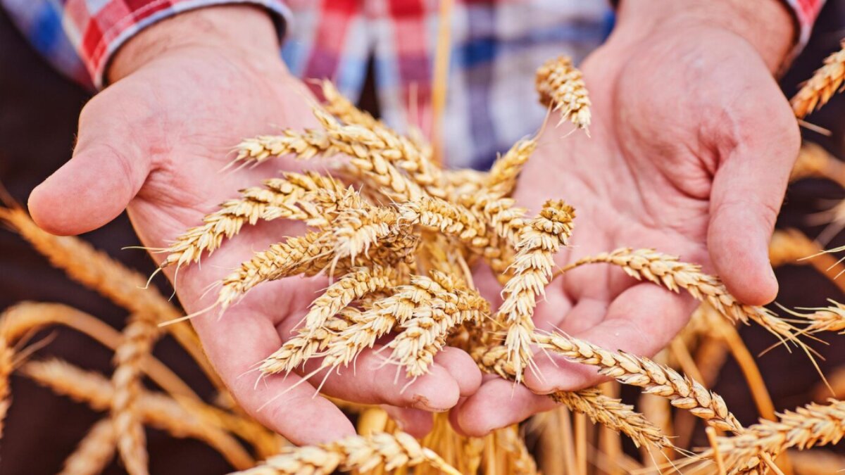 Agricoli: entro febbraio la dichiarazione di calamità