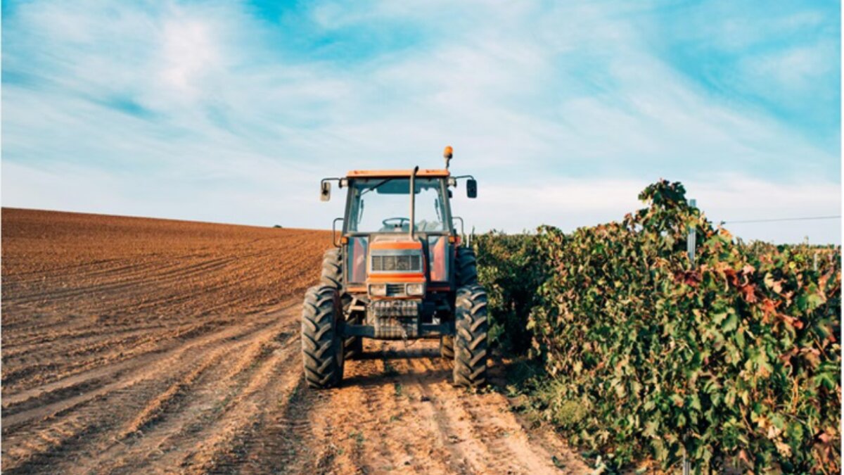 Agricoli: Nel cassetto previdenziale gli avvisi di tariffazione